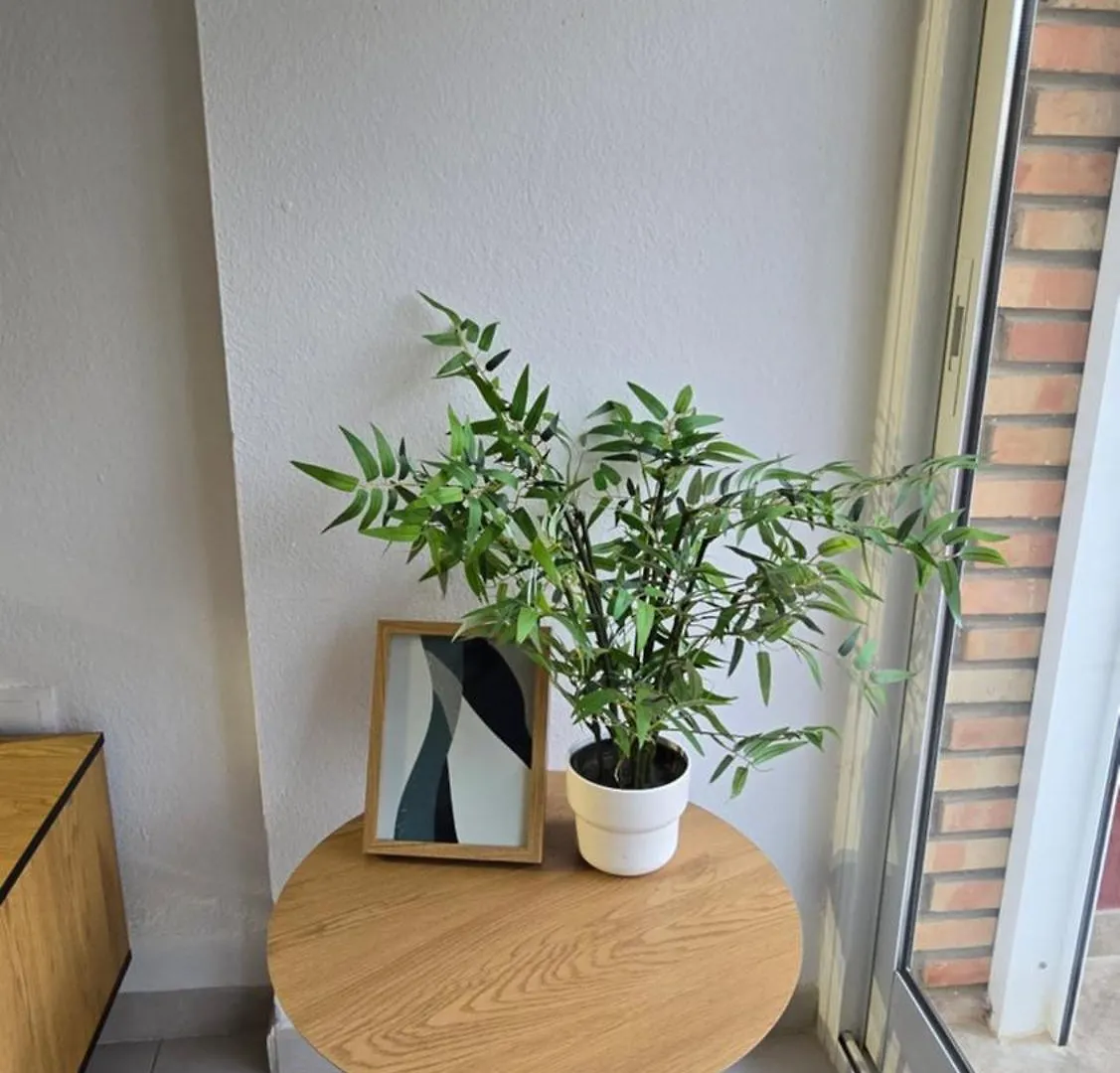 Benalmadena Minerva 401 Estudio Con Gran Piscina Y Parque Acuatico 0*,  ספרד